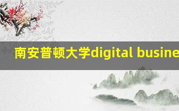 南安普顿大学digital business